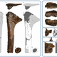 Image: Martin-Silverstone et al. 2016.